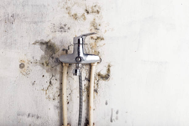 Home Mold Removal in Valencia West, AZ
