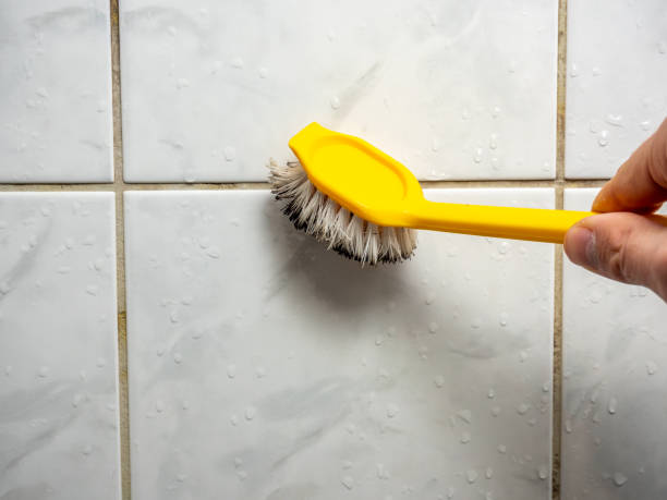 Office Mold Removal Services in Valencia West, AZ