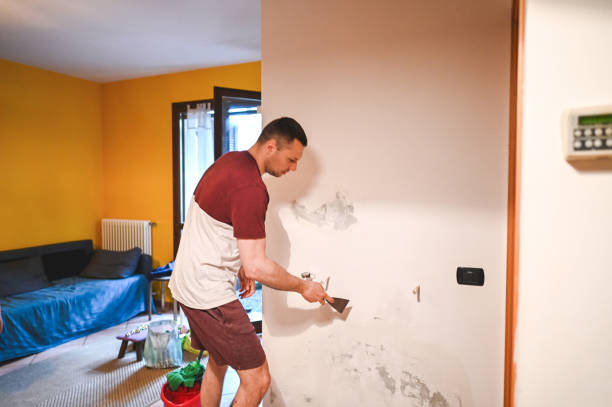Best Local Mold Removal Service  in Valencia West, AZ
